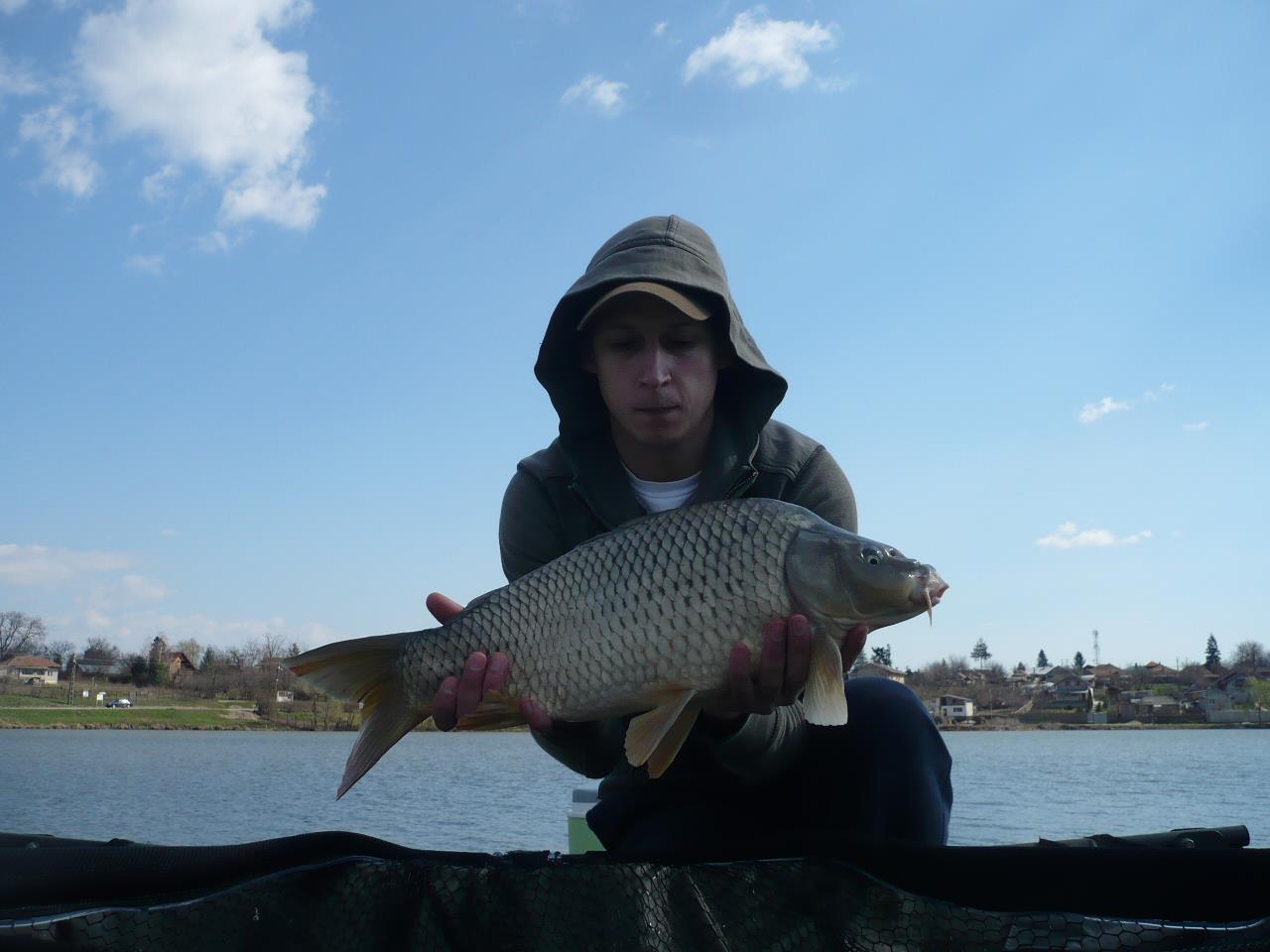 MV2 - 20.MAR.2014 - p1020236.JPG